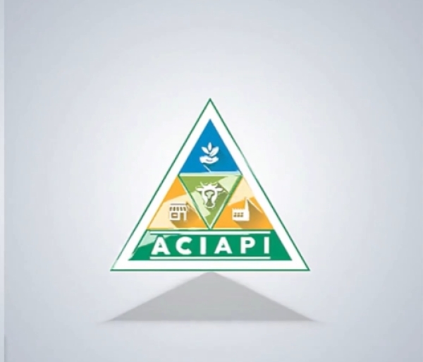 ACIAPI Participa da LDO 2024